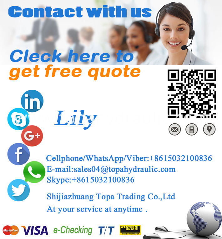 Lily Business Card Lily Business Card